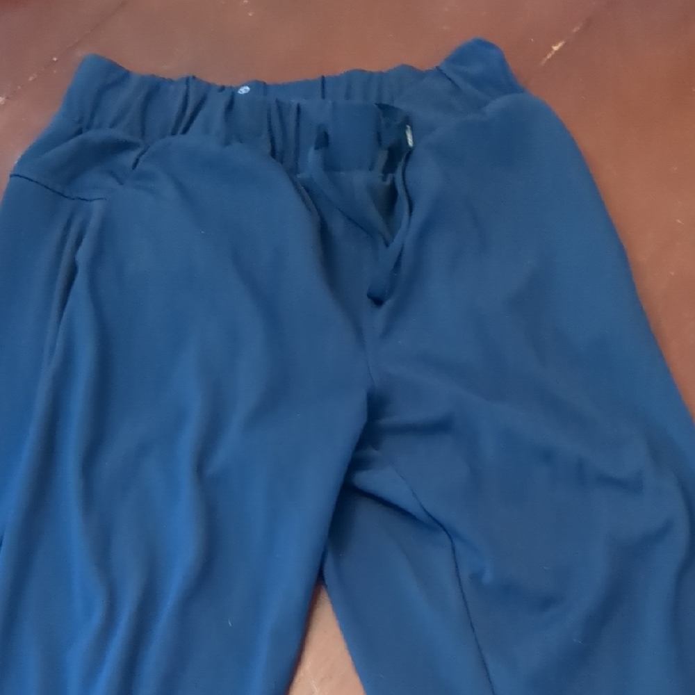 Talbots Deep Blue Stretch Waist Pants